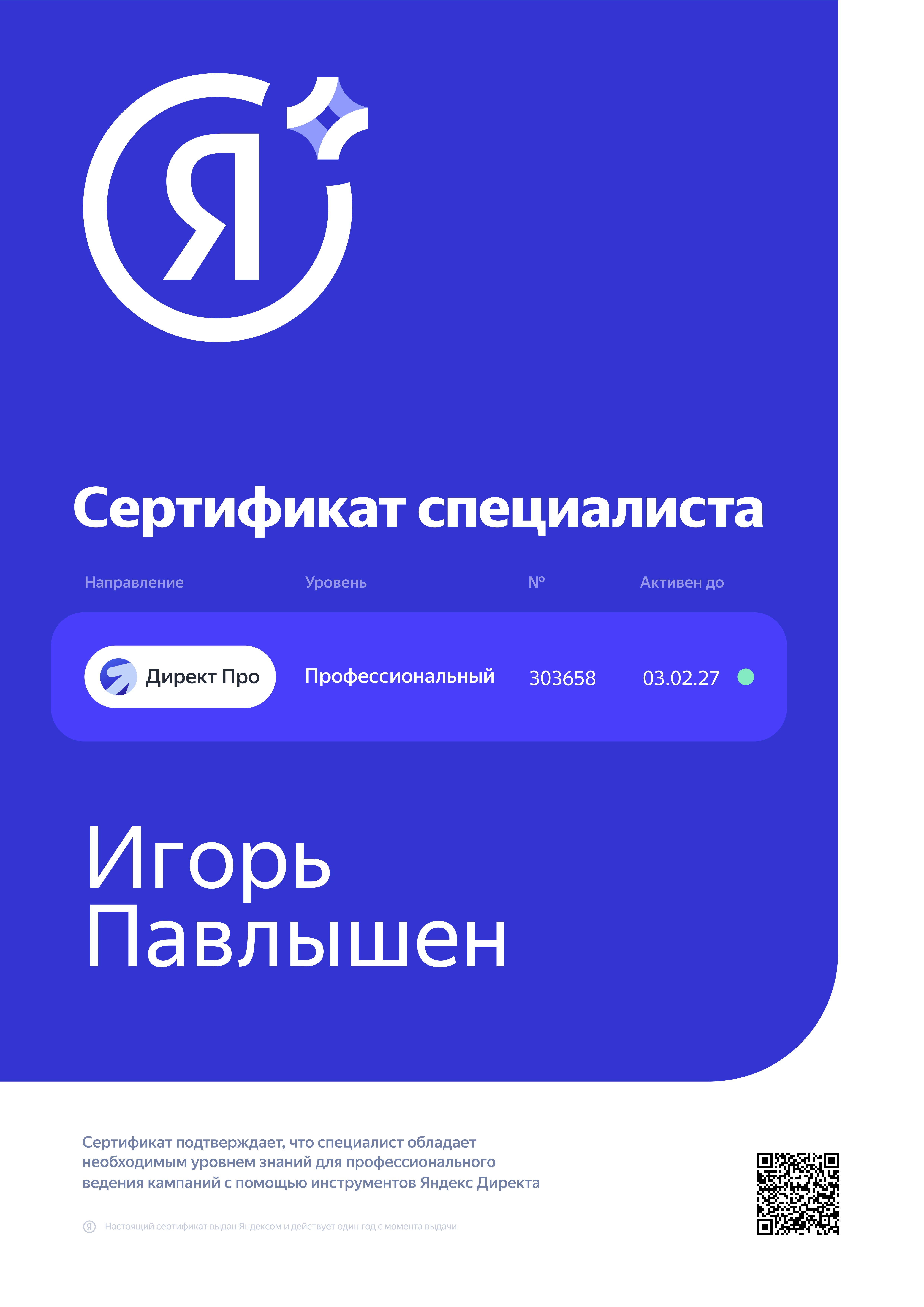 Яндекс.Директ Профессиональный